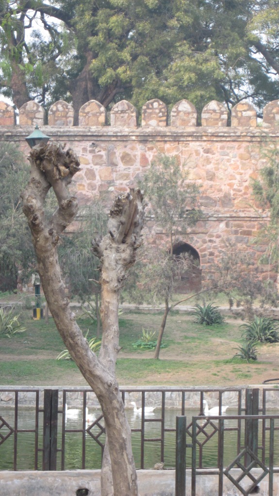 Nature, Fort, Garden, Delhi
